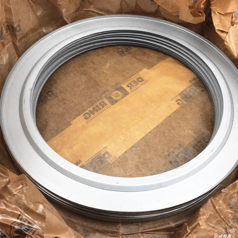 Niros Dust Cover Bearing Sealing Ring Oil Retaining Ring JV Metal Stamping Machine 6005AV 16005AV