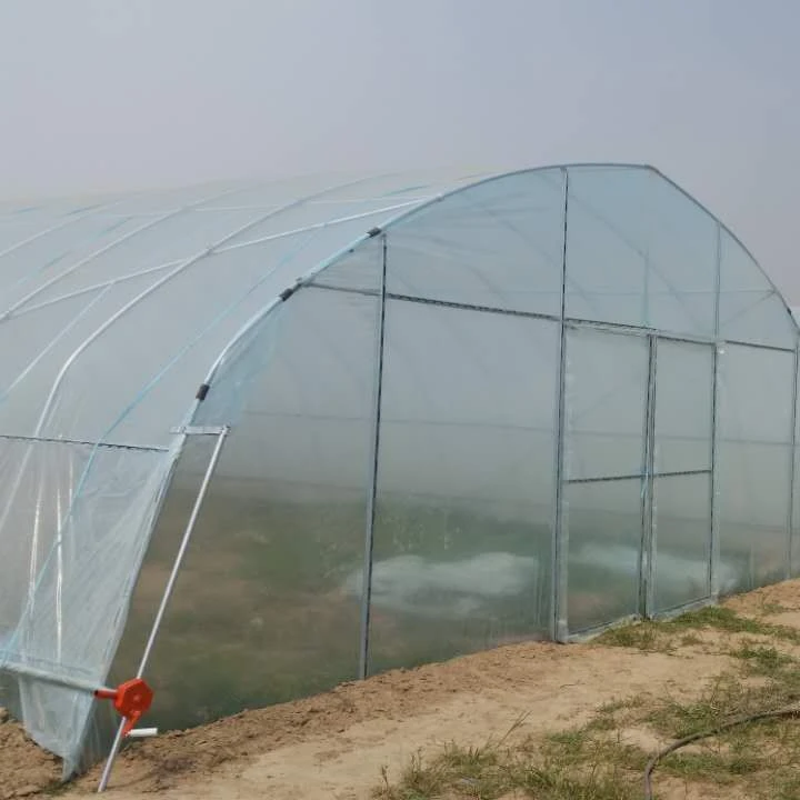 Indoor agricultural greenhouse plastic sheet film tunnel greenhous