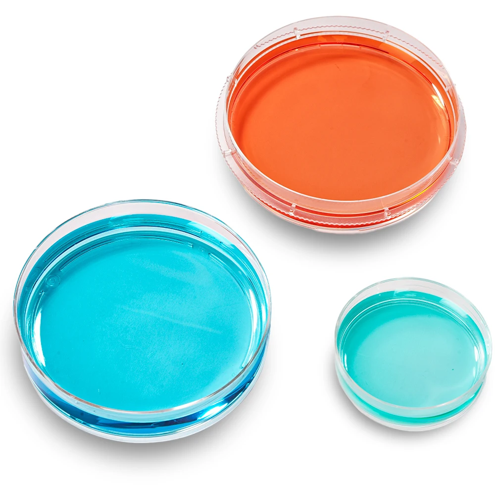 ISO9001 certificate 35mm 60mm 90mm 120mm 150mm ps clear plastic material petri dish tissue culture petri dish container