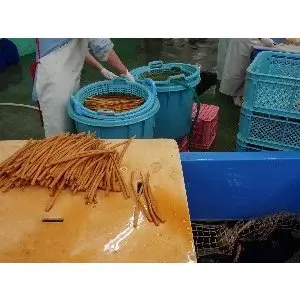 Японское производство пищевых продуктов пластиковые пакеты для