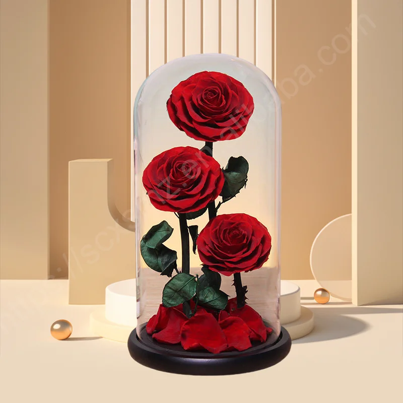 Factory Directly Supply 2024 Hot Selling Eternal Rose Morthers Day Preserved Flower Forever Roses In Glass Dome Led