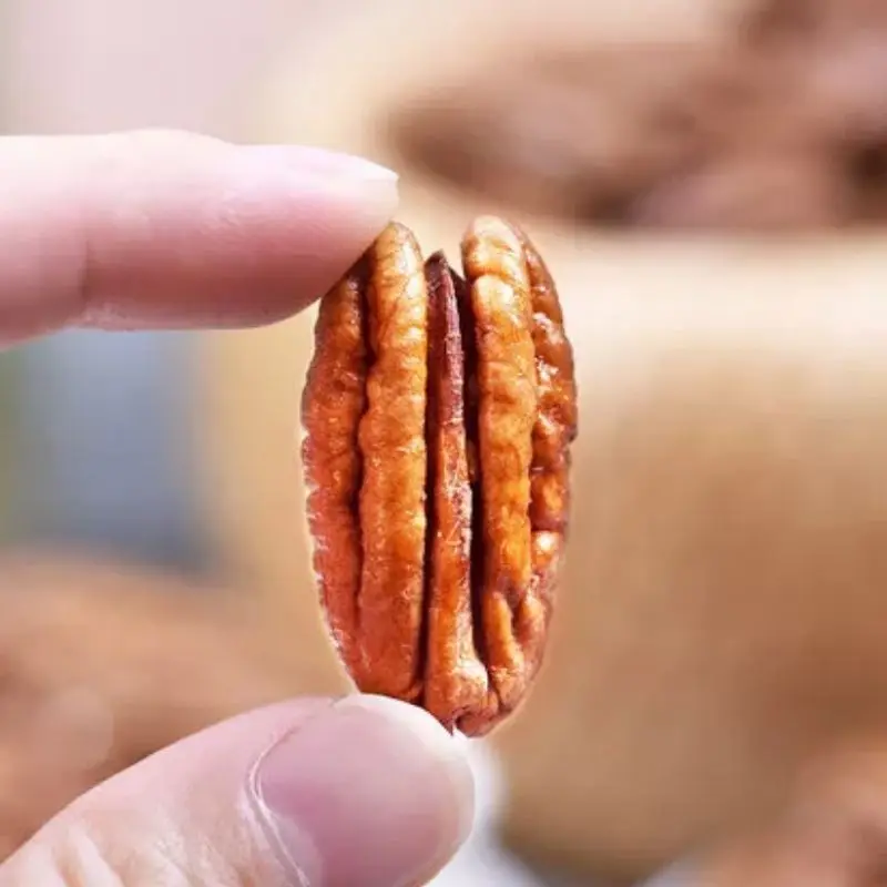 High Quality Grade Organic Pecan Nuts and Dried Fruits