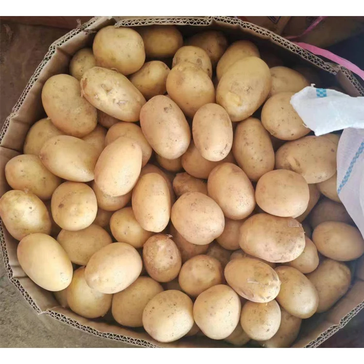 Маленький Размер Wuchuan желтый свежий картофель для картофельных чипсов