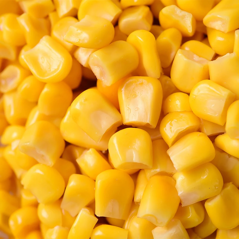 Delicious Fresh Yellow Sweet Corn Kernels a Perfect Food Choice