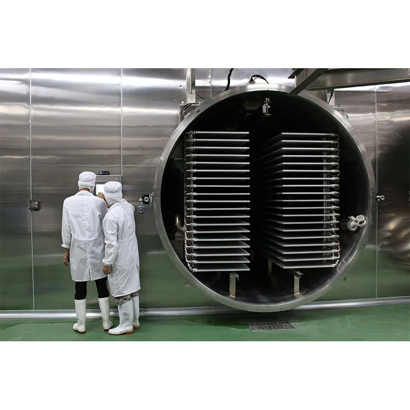 FD-50 Medium Square Meters Industrial Fresh Food Fruit Vegetable Vacuum Freeze Dryer Dehydrator Machine