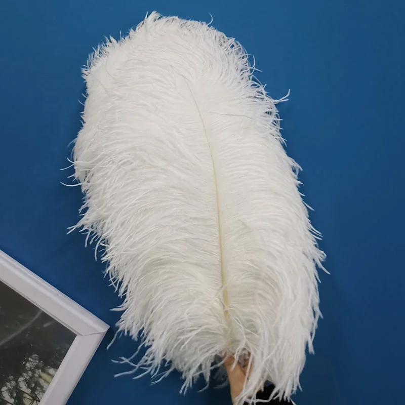 Wholesale white Ostrich Feather 40-80CM High Quality Hair Color For Feather Lamp, Wedding Centerpieces
