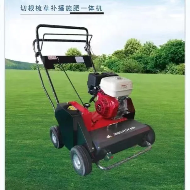 Turf comb machine with manual push to remove dea d grass