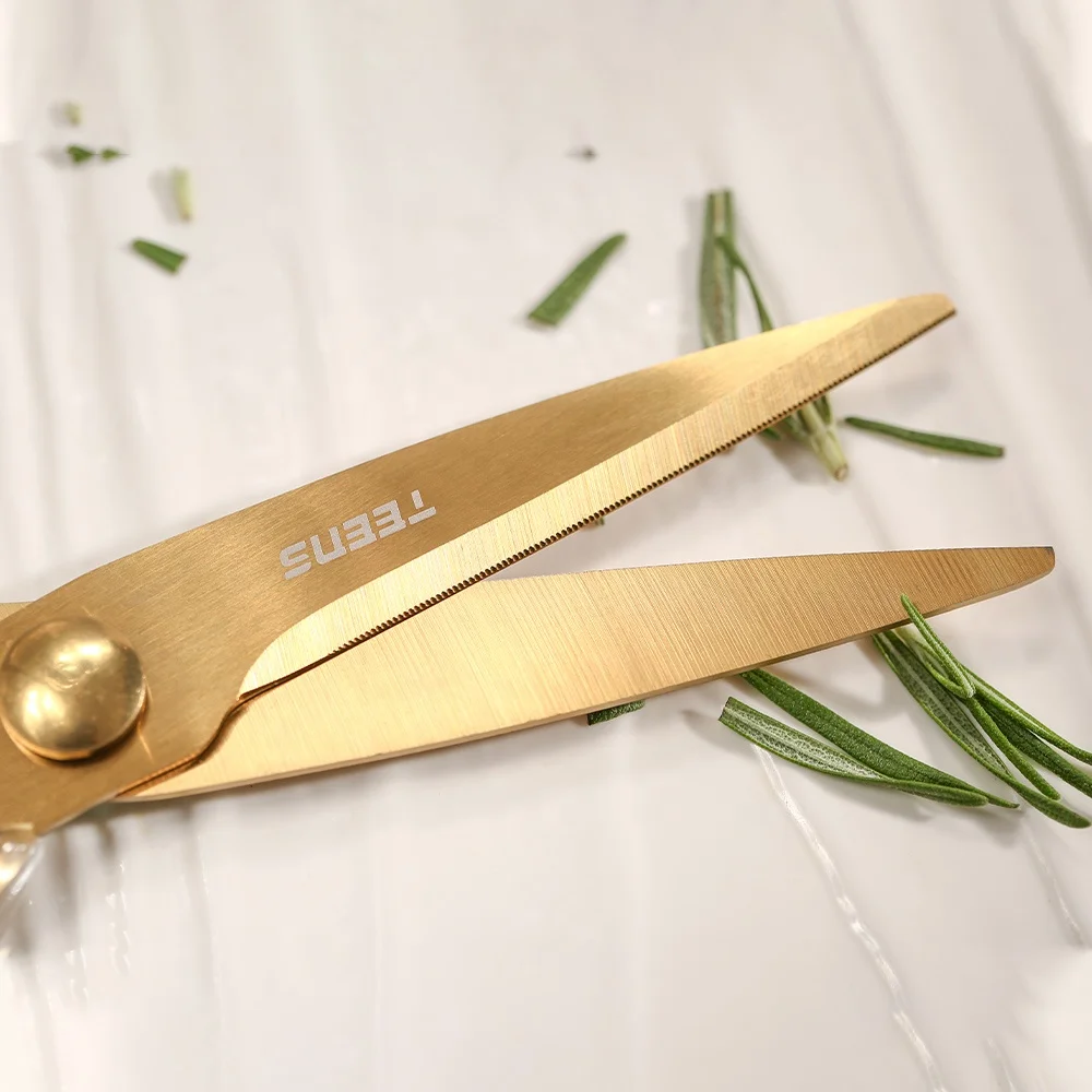 2023 Cocina Kitchen Powerful Scissors Heavy Duty Multifunction Stainless Steel Kitchen Scissors With Acrylic Handle