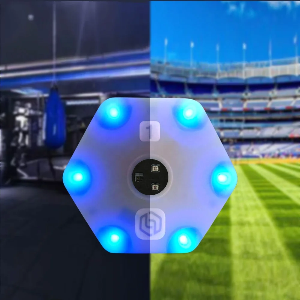 Premium Reaction Training Lamp for Basketball Football, Boxing, Handball & More - Agile Speed Equipment Bundle with 6 Lights+App