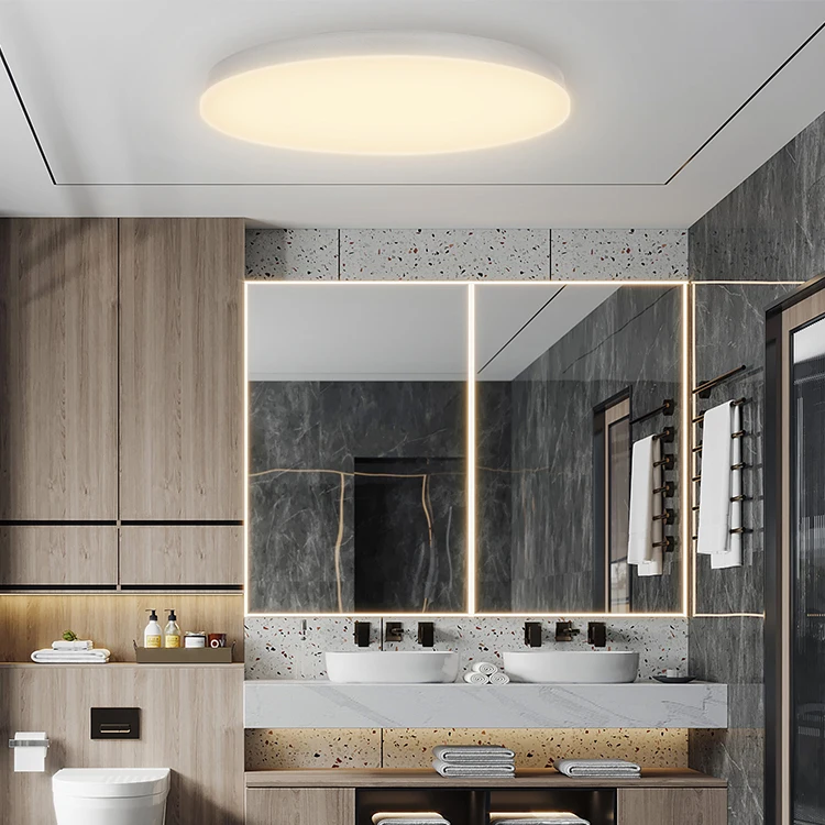 modern simple smart led ceiling light living room bathroom round ip54 led ceiling lamp for home and hotel