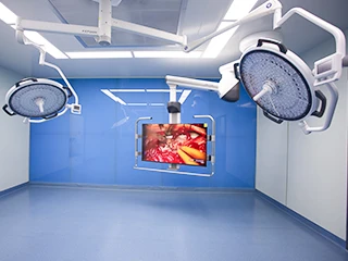 Double Dome Head Surgical Light Ceiling LED Operating Lamp for Operation Theatre Equipment