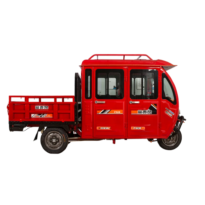 Hot Sell 2  Driver Cab and Hight Load Capacity Tricycle Enclosed Adult 3 Wheels E-rickshaw for Adult Electric Tricycle