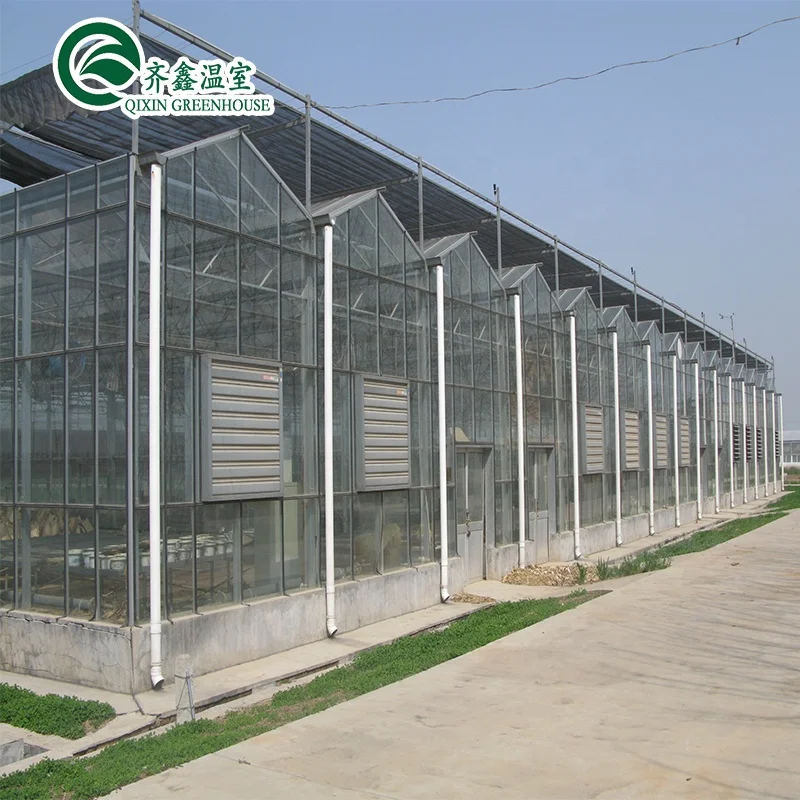 venlo pc  sheet Galvanized Steel Pipe Greenhouse with aeroponic system