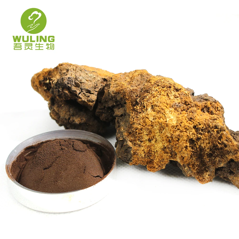 OEM Herbal 7 in 1 Mushroom Mix Extract Powder for Selling