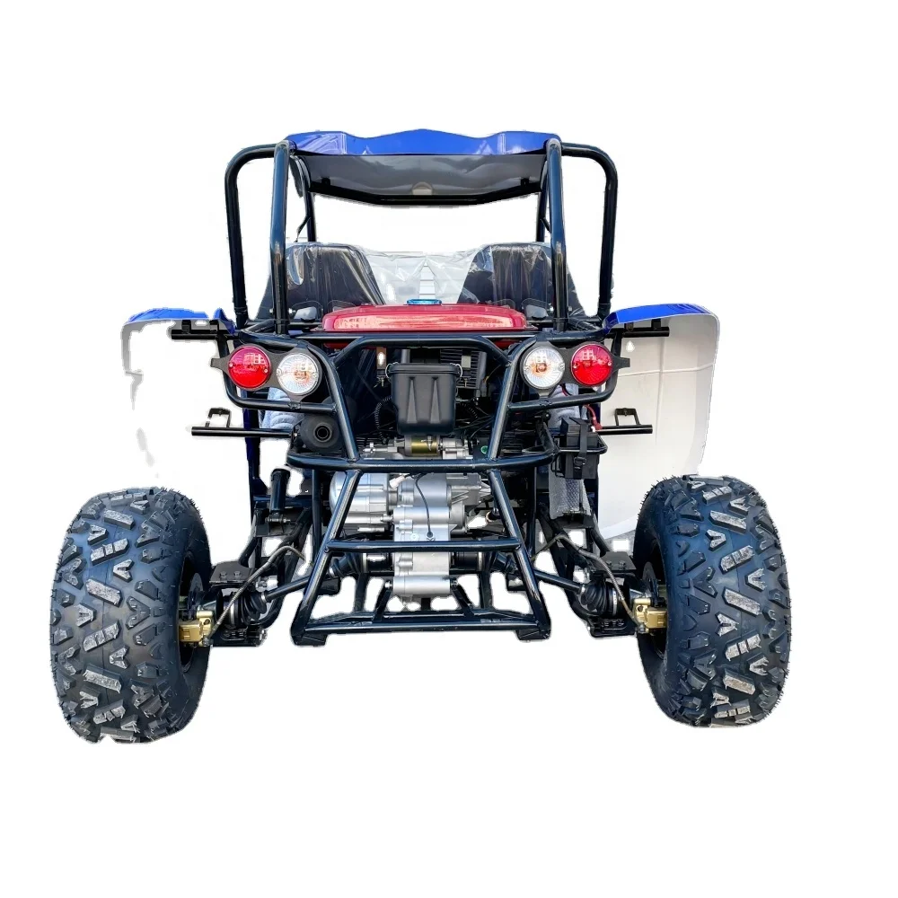 LNA driving europe 300cc buggy kit