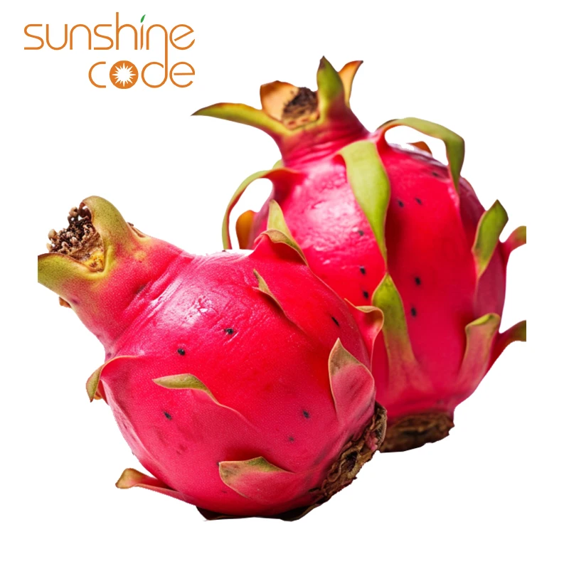 Sunshine Code Organic Dragon Fruit white pitaya fresh dragon fruit vietnam fast to delivery