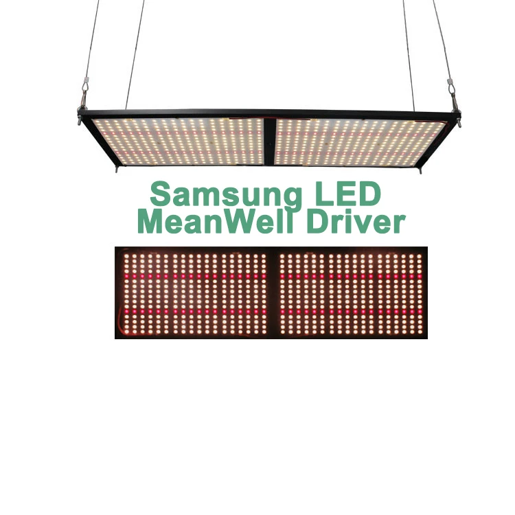 
Amazon Bestseller 240w 3500K Led Grow Light From China 301b 301h QB 288 V2 Driver Mean Well 240w For Indoor Garden 