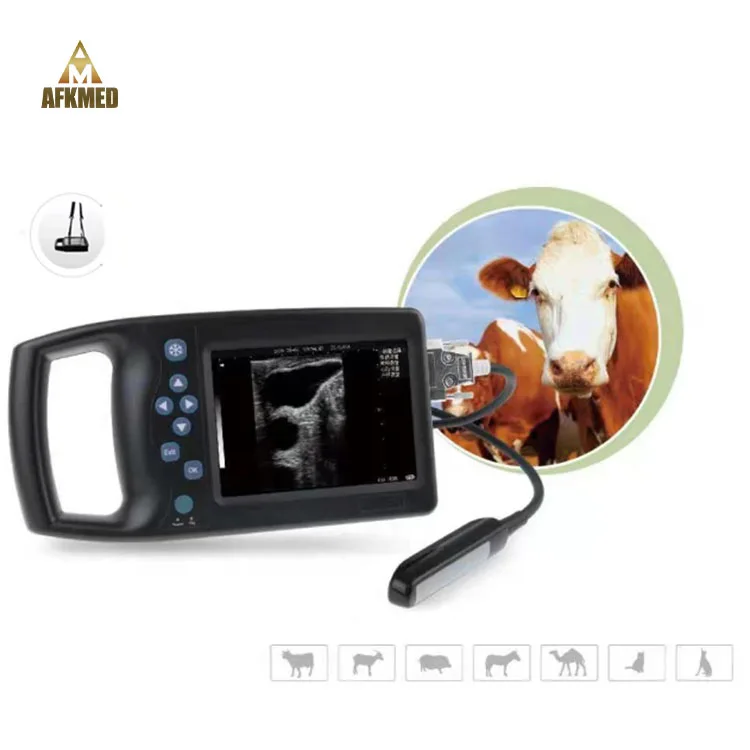 Ultrasound manufacturing portable veterinary ultrasound machine with competitive price handheld device veterinary ultrasound