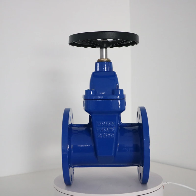 OEM MADE in CHINA DN50-DN600 General Application Flanged Gate Valve Cast Iron