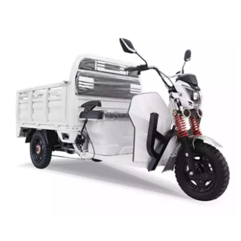 2022 Factory direct sale mobile electric vehicle 3 wheel electric tricycle/motor tricycle/electric rickshaw with high endurance