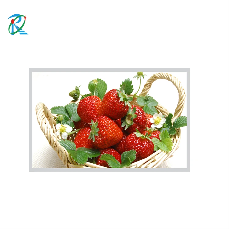 17.3 inch 1000nits portable lcd screen available with auto-brightness sensor