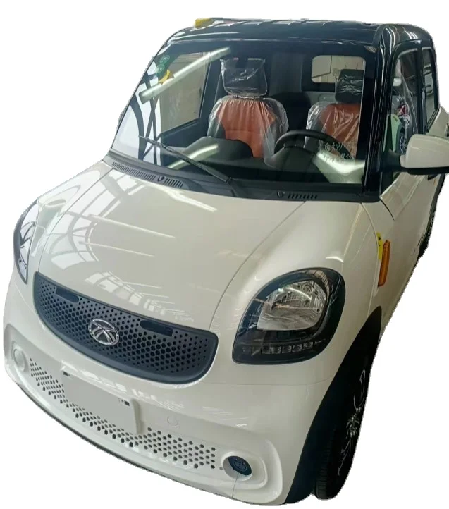 Mini electric car for Adults Cheap Price High Quality vehicles
