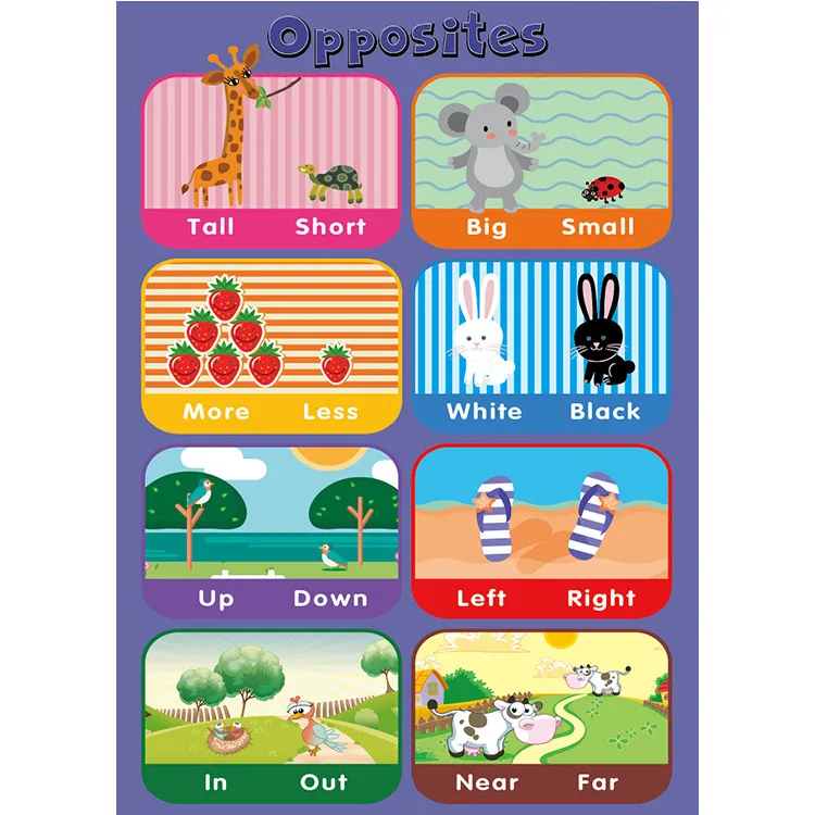 Wholesale Popular Children Learning Educational Odorless Posters for Kids