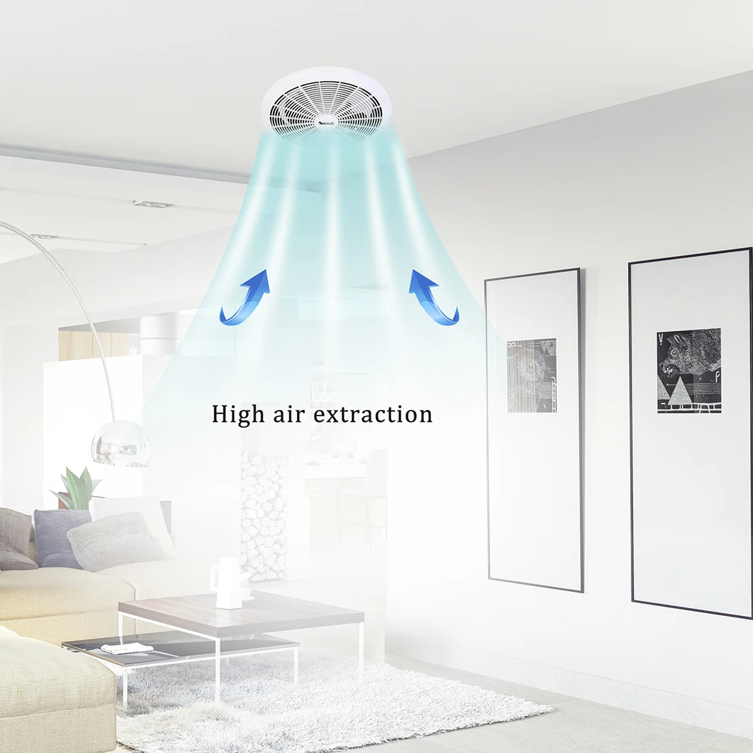 Household rooftop exhaust fan10 inch ceiling fan ventilation fan bathroom fan