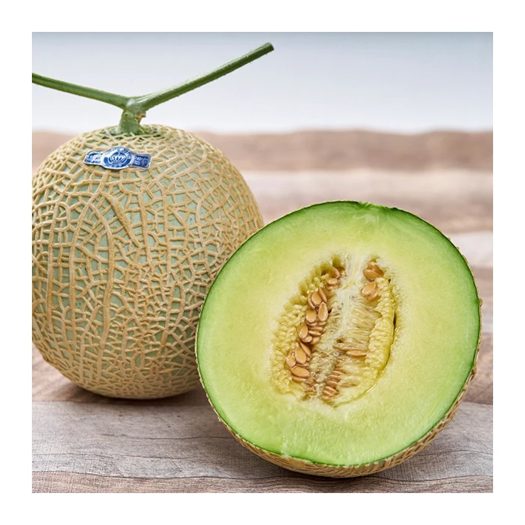 Japan reasonable price fresh exporters pack fruit pulp melons