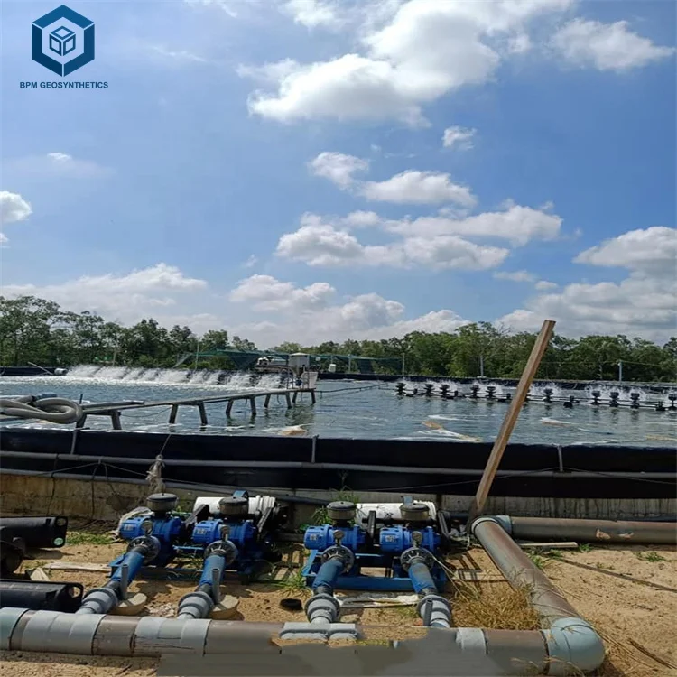 Smooth 30mil 20mil Thickness HDPE Geomembrane for Aquaculture Project in Malaysia