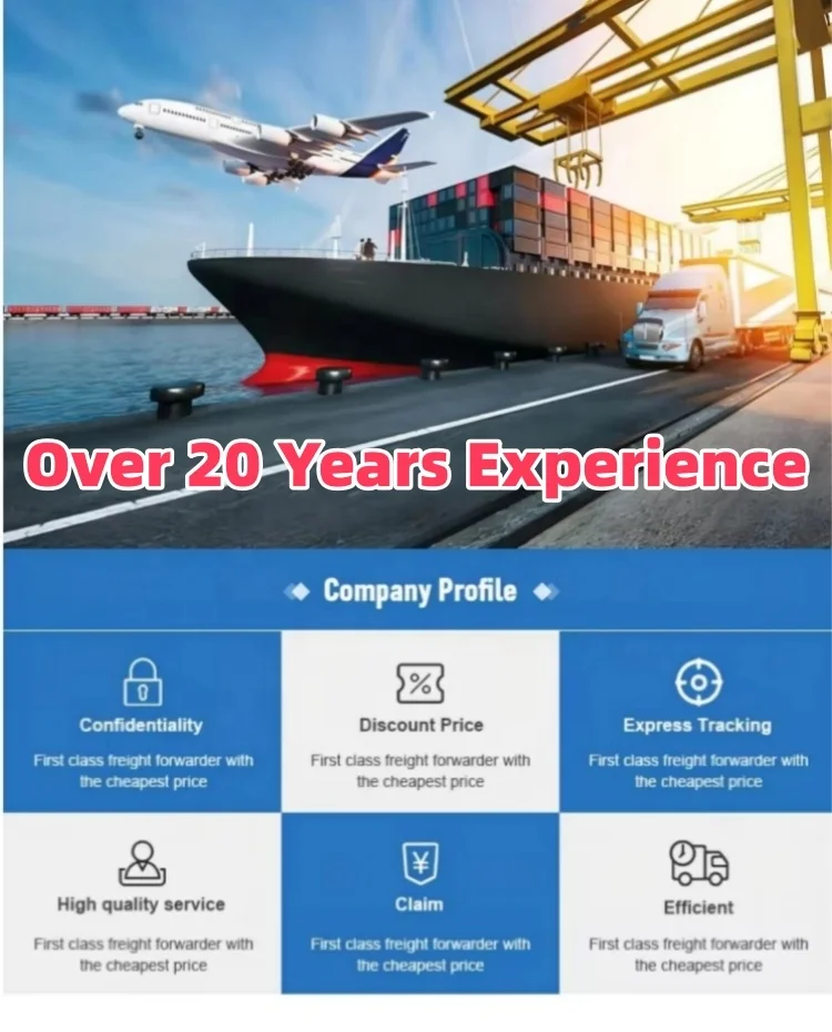 Competitive Rates And Optimized Shipping Schedule Logistics Agent Shipping in China to UK France