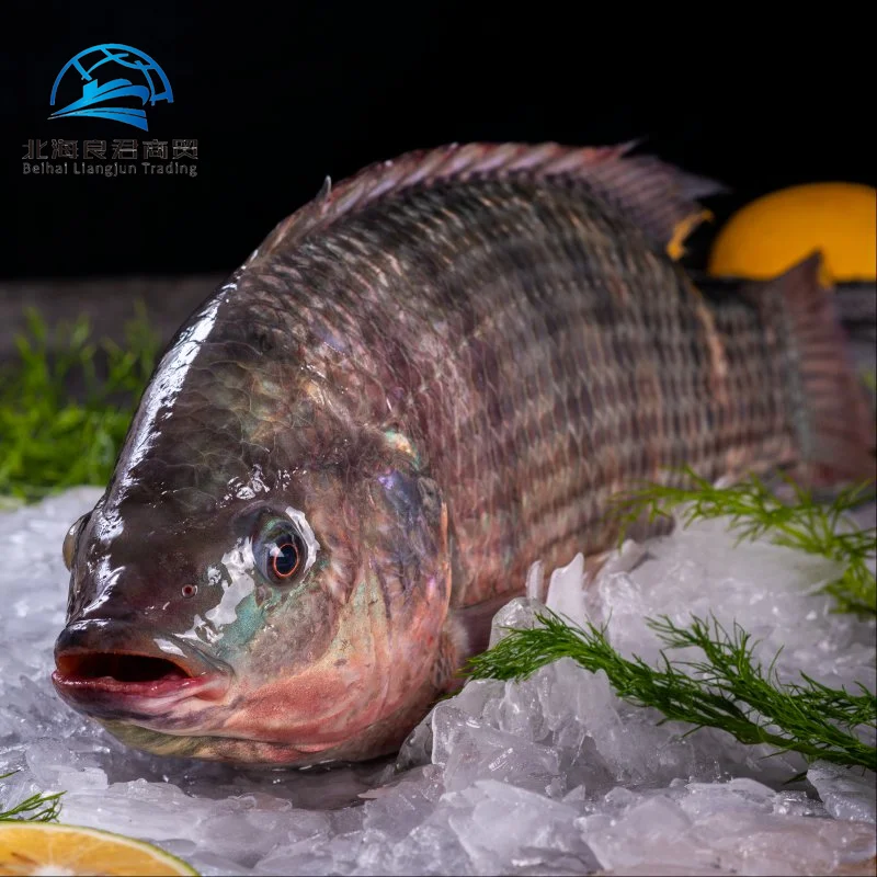 Рыба Тилапия цена за кг оптовая высококачественные морепродукты грубая замороженная Оригинальная Черная тилапия