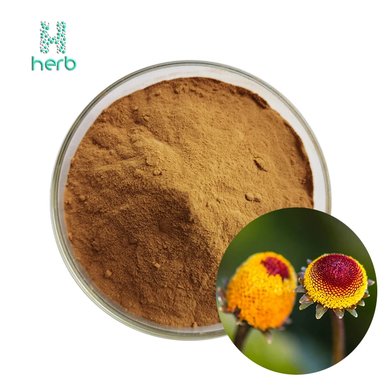 Фабричная поставка Spilanthes Acmella Экстракт цветков 10:1 20:1 Oleracea экстракт порошок
