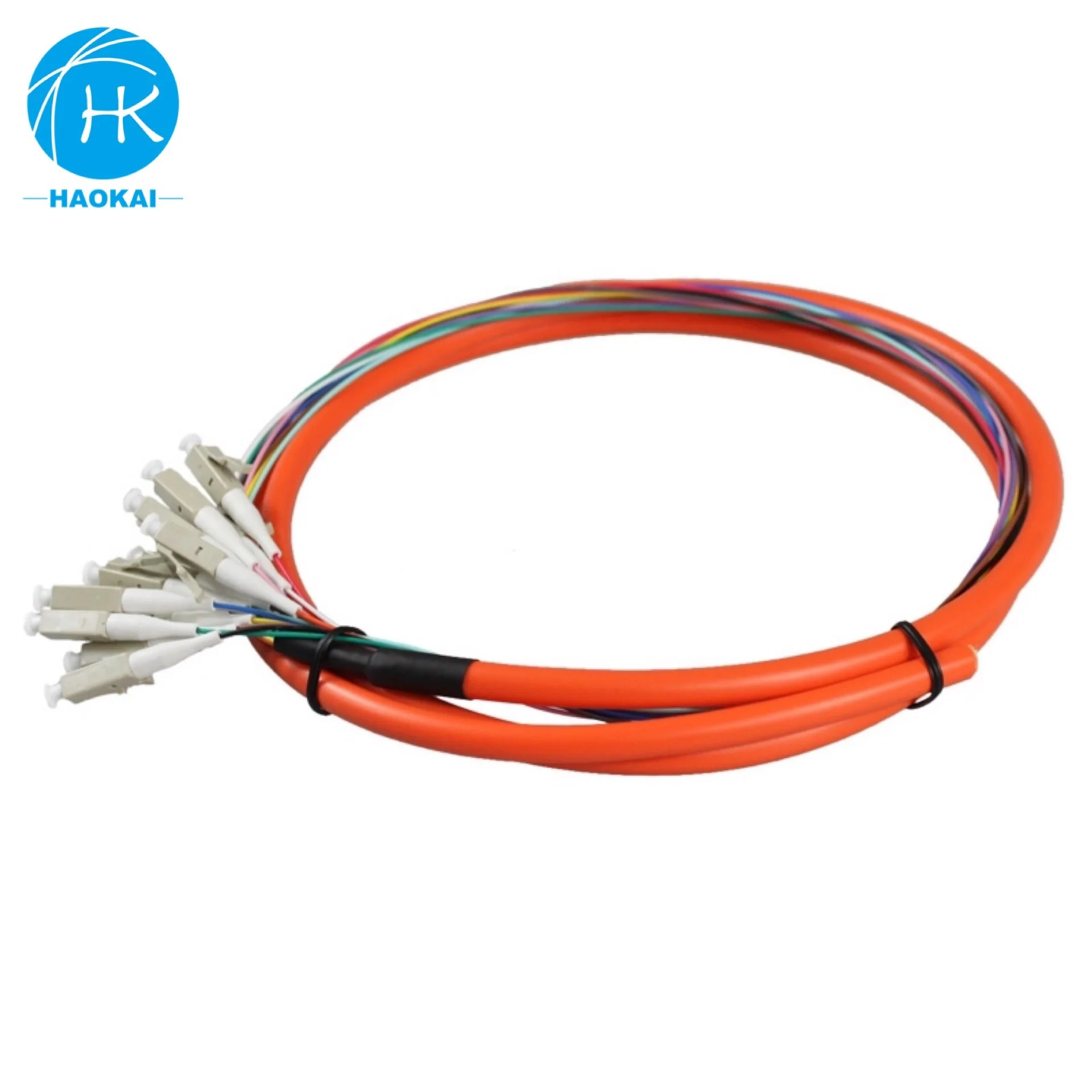 12 Core Waterproof Sc Apc Color Optical 0.9Mm 12Core Fiber Optic Pigtail