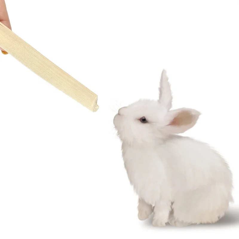 Pet rabbits, hamsters, guinea pigs, chinchillas, gerbils, molars, snacks, small animal food