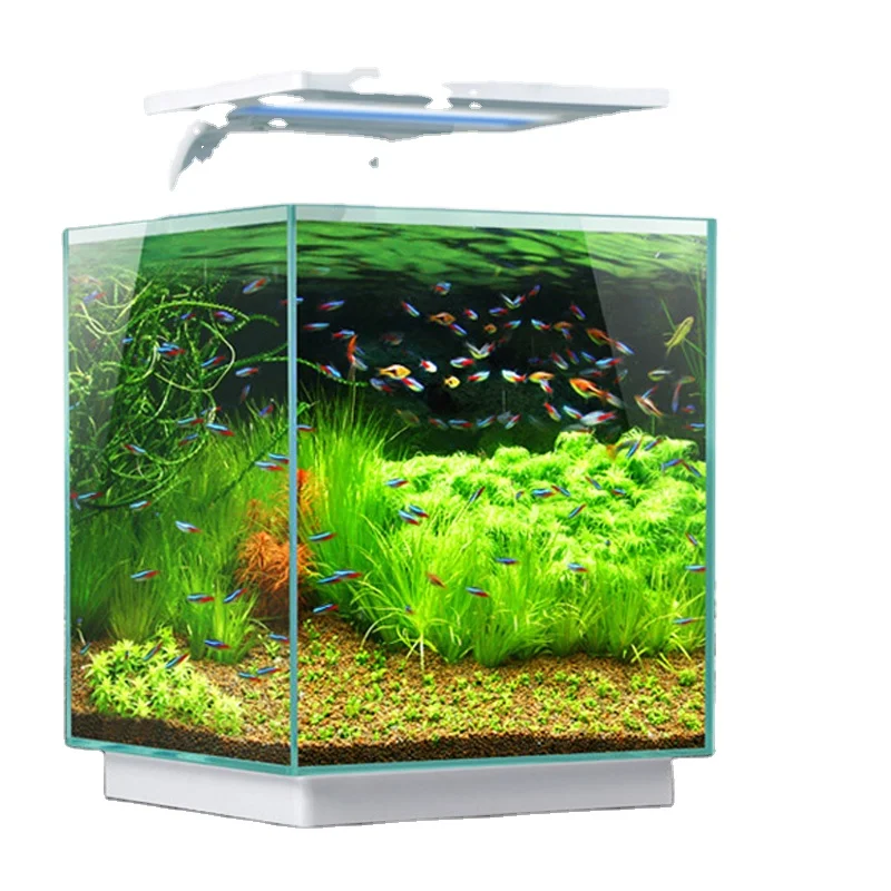 Indoor Fish Large Aquariums Fiber Glass Fish Tanks Acrylic Acuario other trending pet products accessories supplies