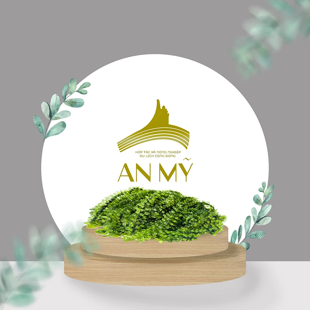 Natural Green Organic Food Supplier Dried Seasoned Sea Grapes
