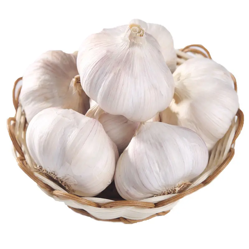 Factory Wholesale Price Fresh Purple White Garlic Supplier Export Good Quality Garlic