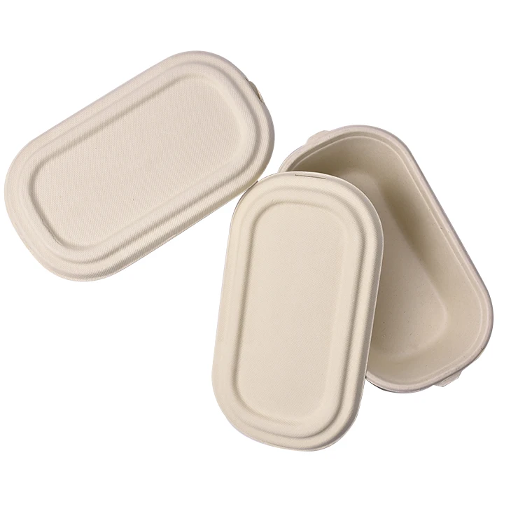 eco friendly food packaging container from bagasse containers manufacturer