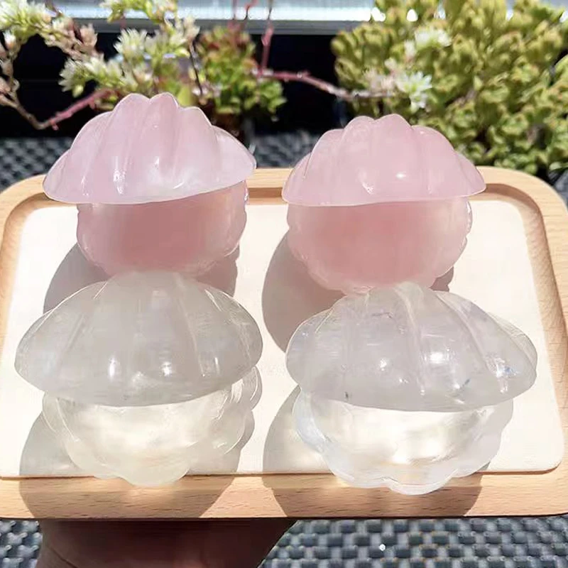 Wholesale Natural Crystals Healing Gemstone Rose Quartz Shell Box Carved Crystal Jewelry Box for Gift