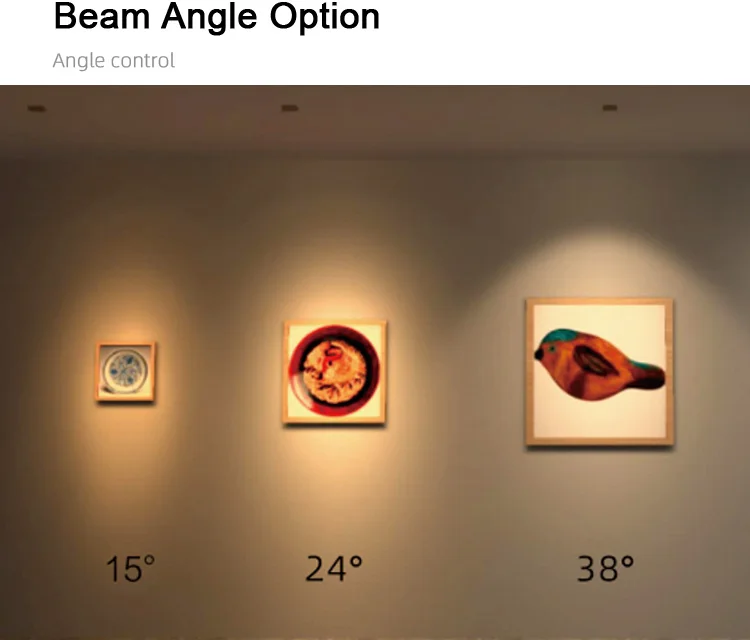 spot-light_09