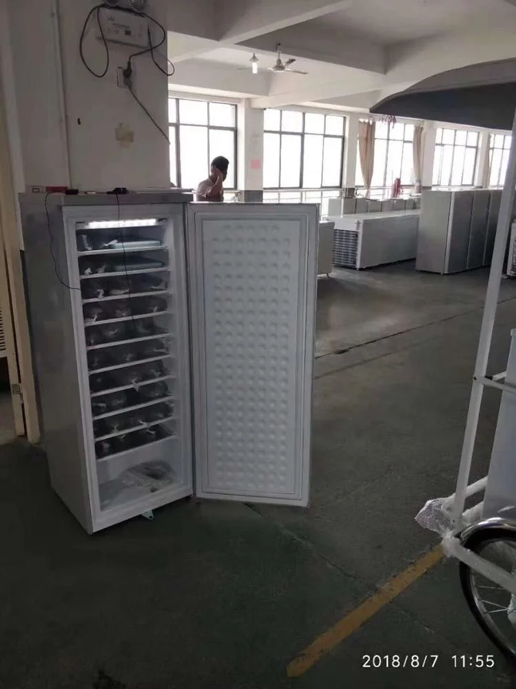 Home Application top fridge bottom freezer 12V/24V DC Refrigerator 168 Liters 300W Solar Panel Solar Refrigerator