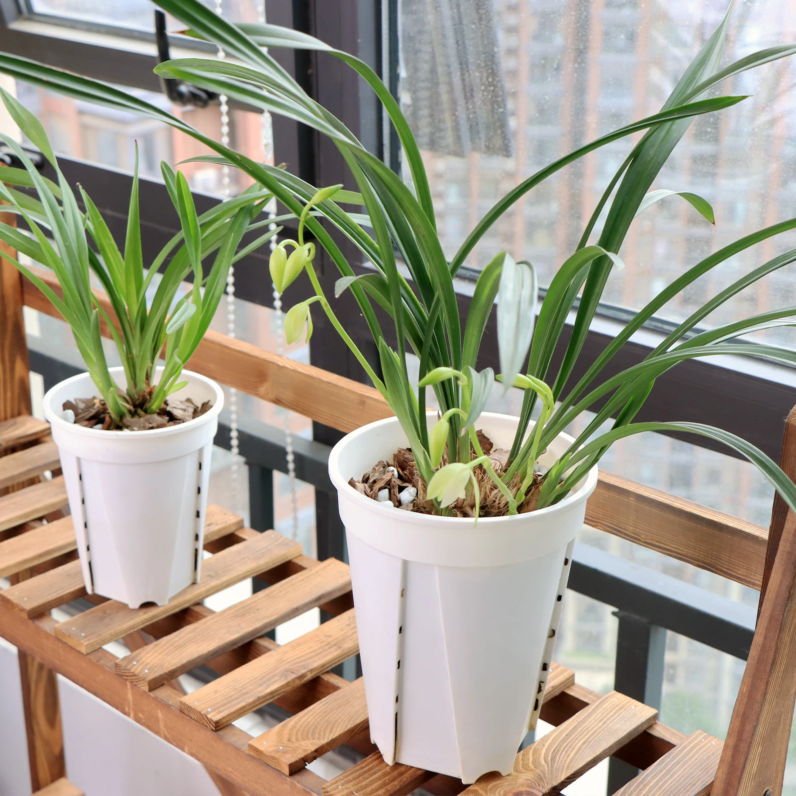 Plastic Transparent Flower Pots Orchids Grow Breathable Root Control Special Plant Pots Side Hole