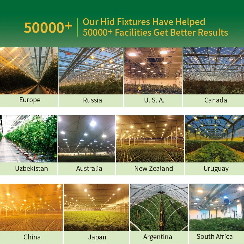 Aluminum Double Ended 1000 Watt Fixture Grow Light 1000W Sodium Lamp For Indoor Plant