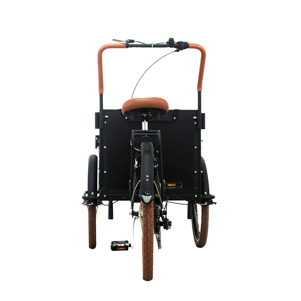 New style three wheeled cargo bikes 7 speed derailleur three wheeled ebike