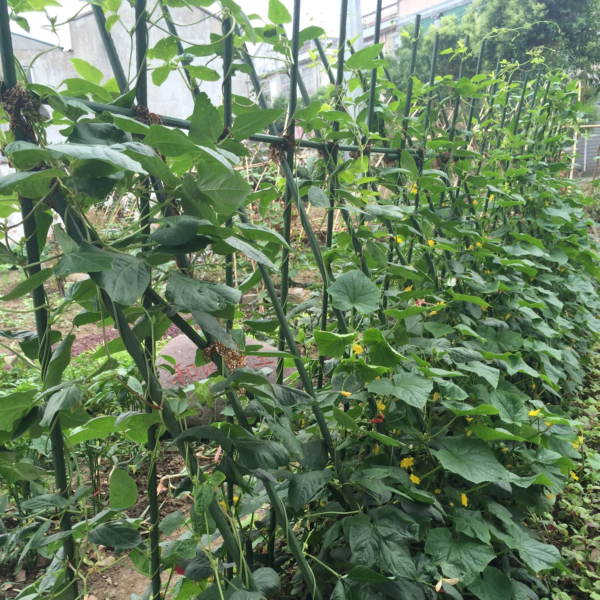 Garden Trellis Plant Connector Cross Clip for Tomato Cage Plant Stakes