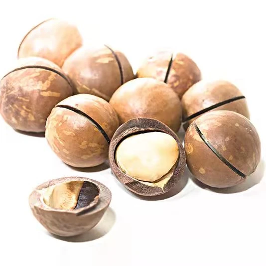 Жареные орехи макадамии с сырыми вкусами