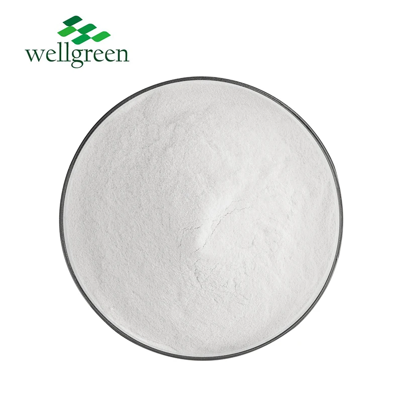 Wellgreen Фабричный органический экстракт корня цикория артишок 9005-80-5 халяльный порошок