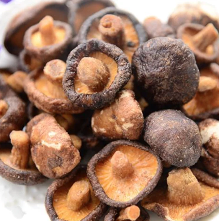Factory Price Black Dried Shiitake Mushroom Dry Shiitake Mushrooms
