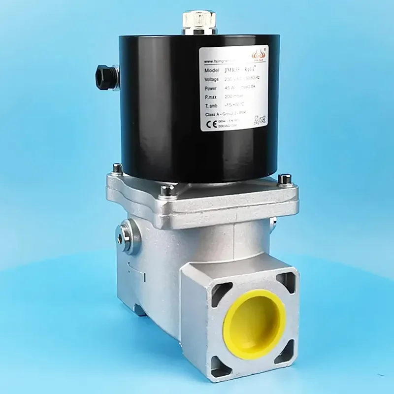 Hydraulic solenoid valves 24V 12V 220v Stainless Steel 304 brass solenoid valve